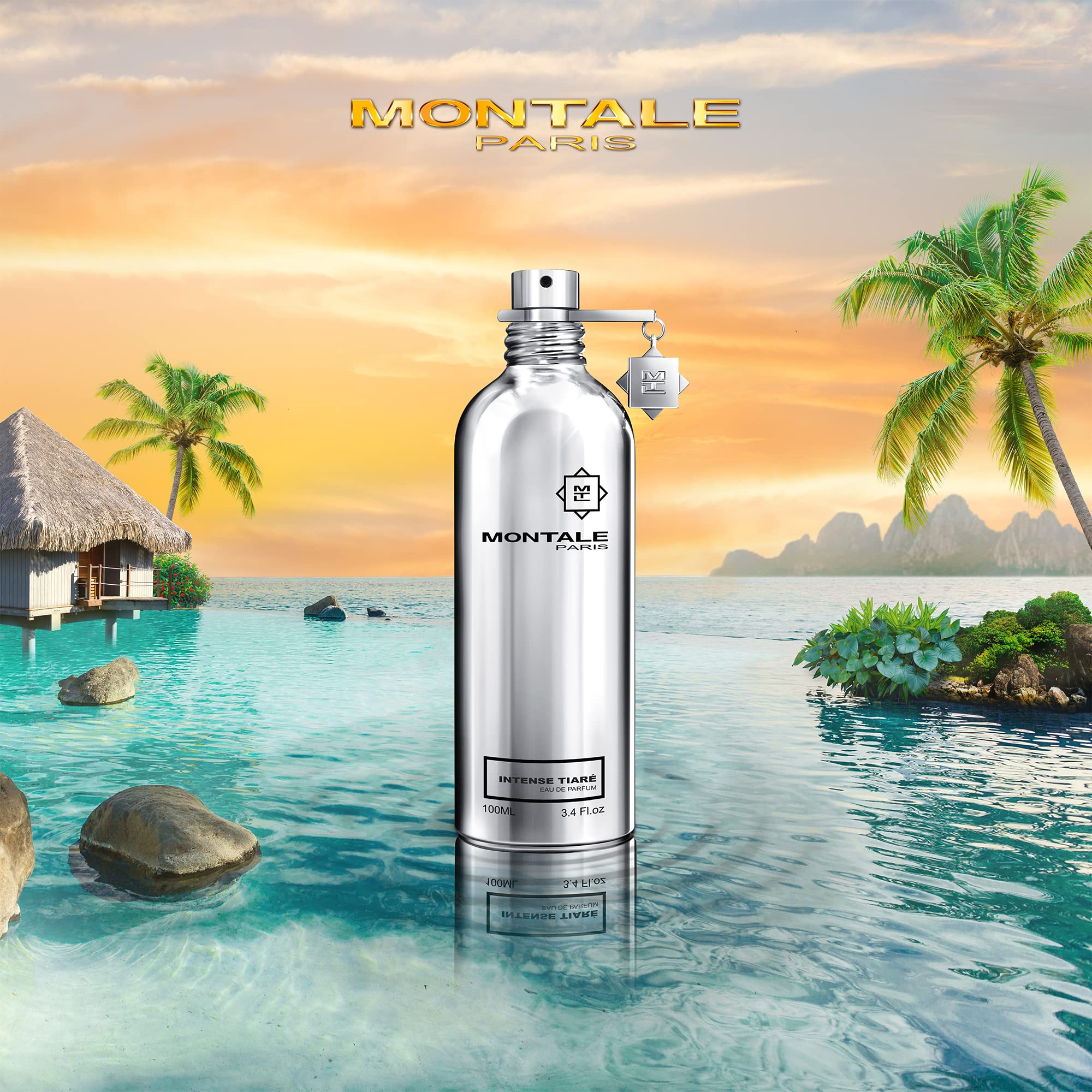 Montale Edp Spray 3.4 Oz (100 Ml) (U) - ITEES34